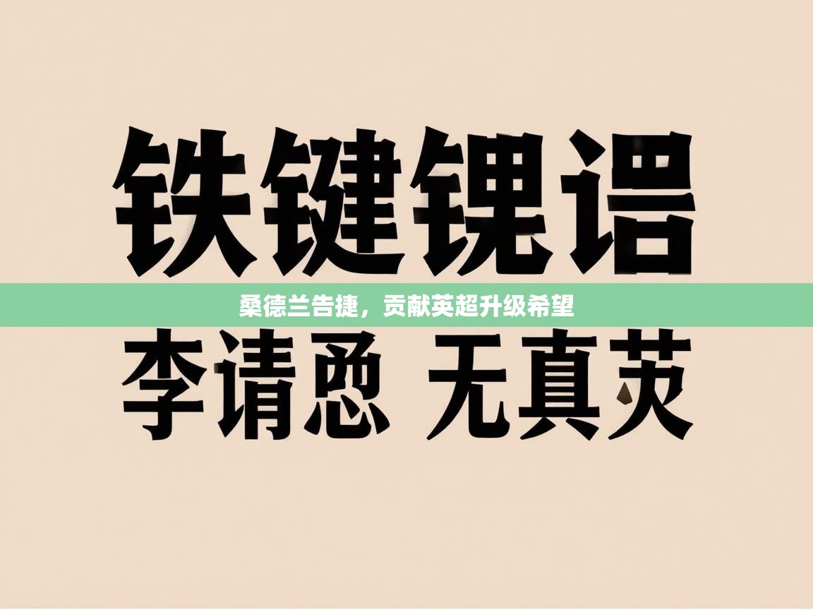 桑德兰告捷,贡献英超升级希望 第2张